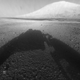 Illustration for article titled Why Do the Mars Rovers Images Look So Bad?